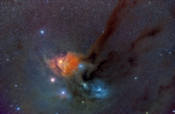 Nebulosa Rho Ophiuchi