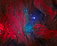Nebulosa Pele de Raposa/ Fox Fur Nebula