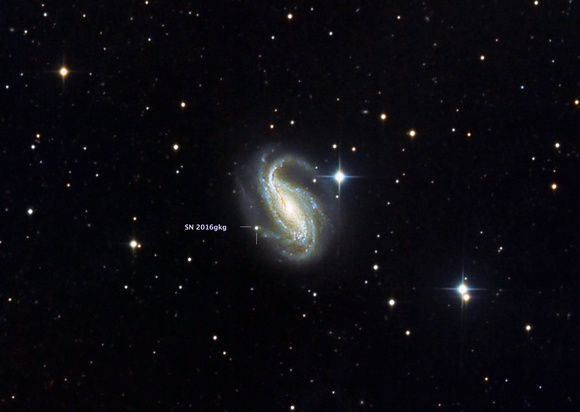 Supernova em NGC 613