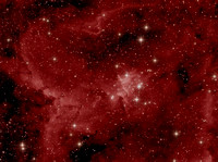 IC1805. Nebulosa Coração/Heart Nebula
