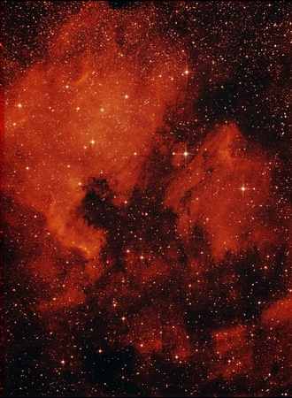 NGC 7000. Nebulosa América do Norte