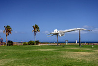 Fuerteventura 2015